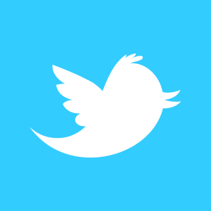 twitter_newbird_boxed_whiteonblue.png